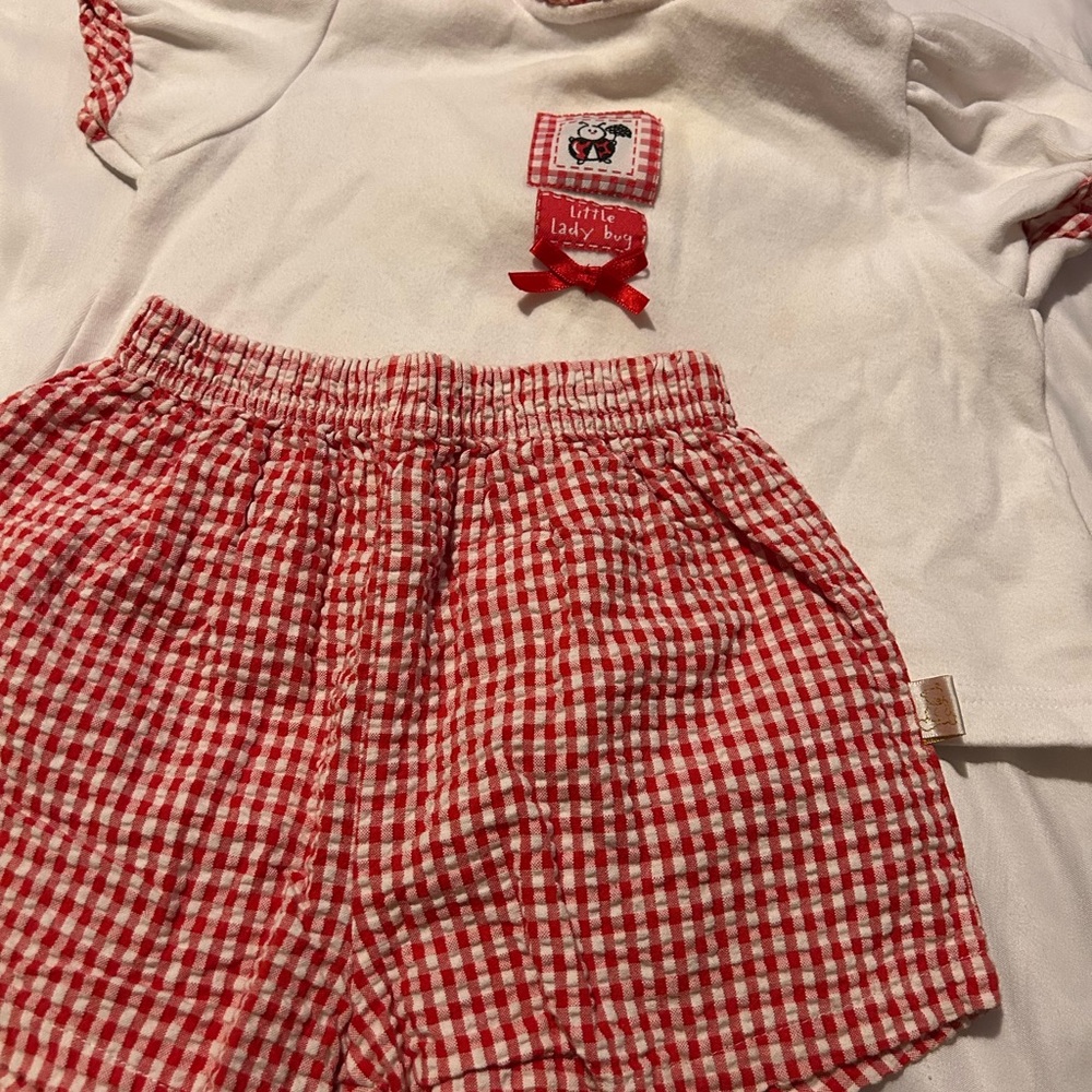 Baby Girl Ladybug Matching Set